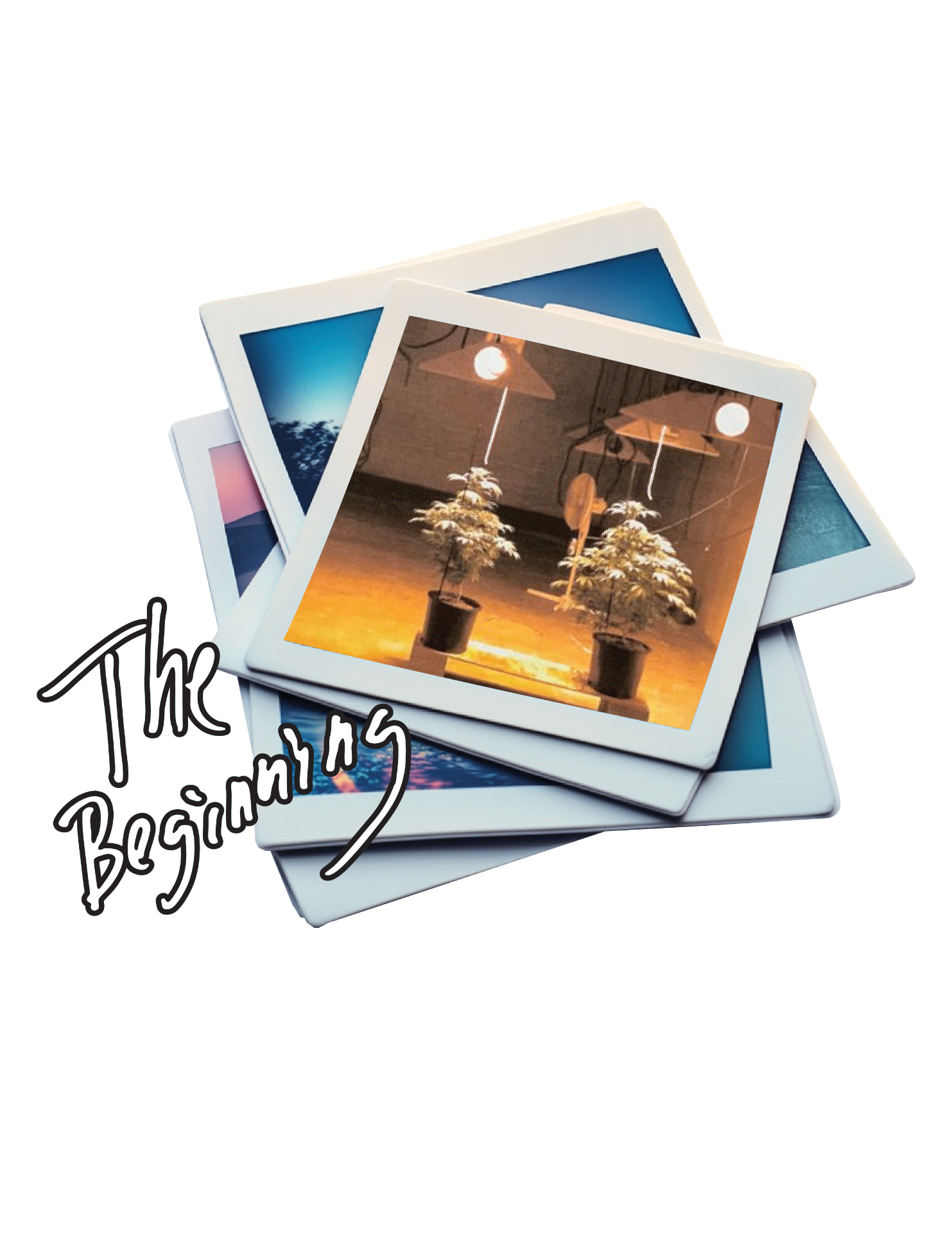 The Beginning — polaroid stack of classic strain photos